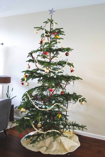 DSC_0809.jpg DSC 0809