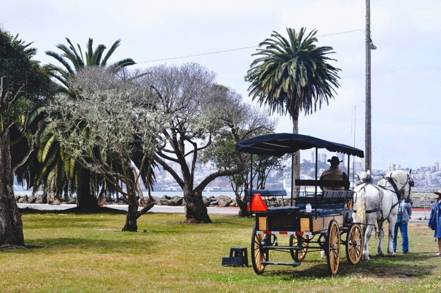 Treasure Island Flea Market 1.jpg Treasure Island Flea Market 1
