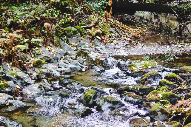 _DSC1135.jpg DSC1135