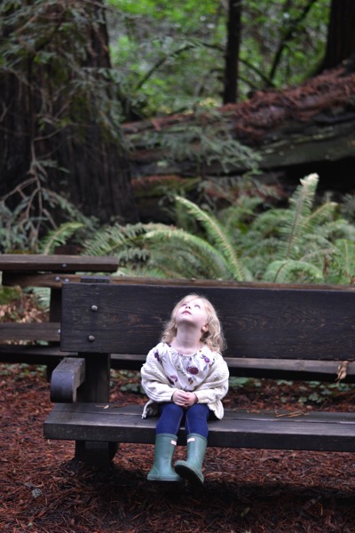 _DSC1224.jpg DSC1224