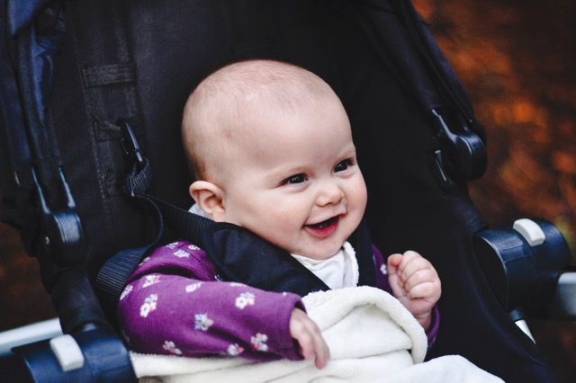 _DSC1246.jpg DSC1246