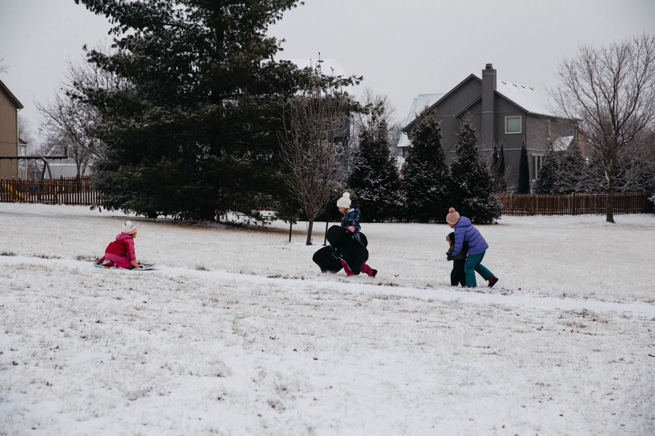 IMG_7451.jpg IMG 7451