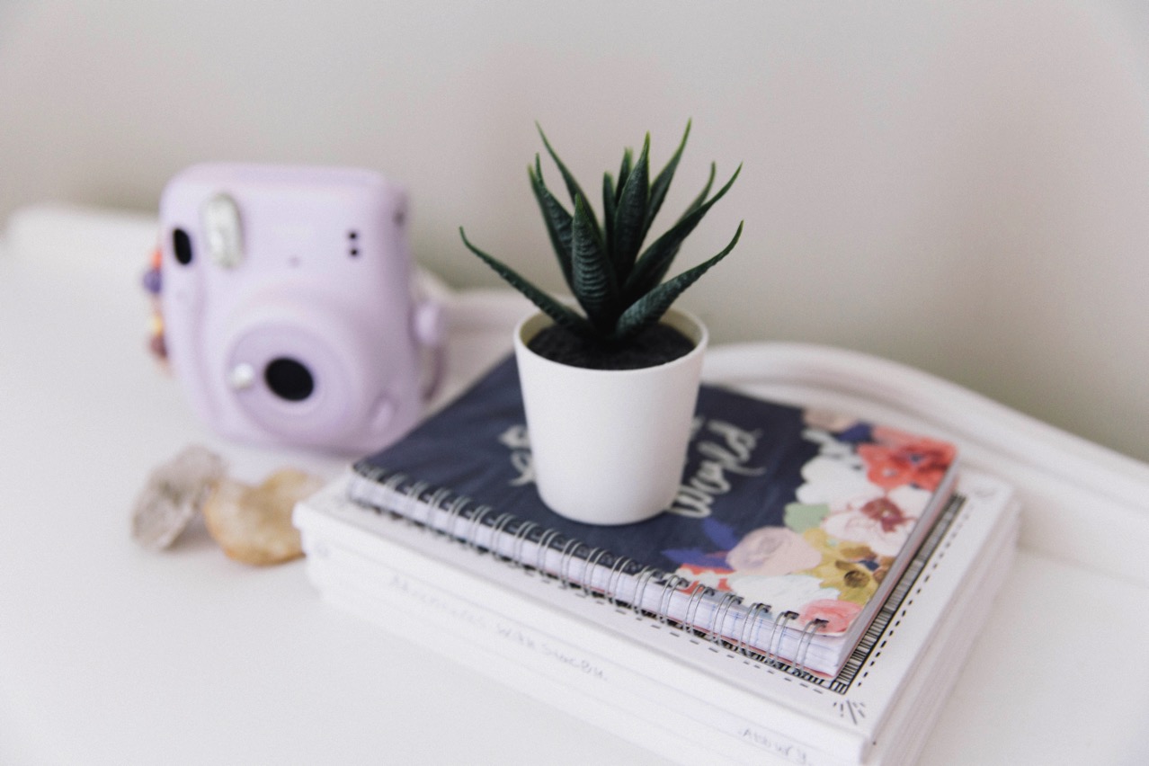 IMG_7897.jpg IMG 7897